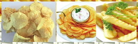 chip chip