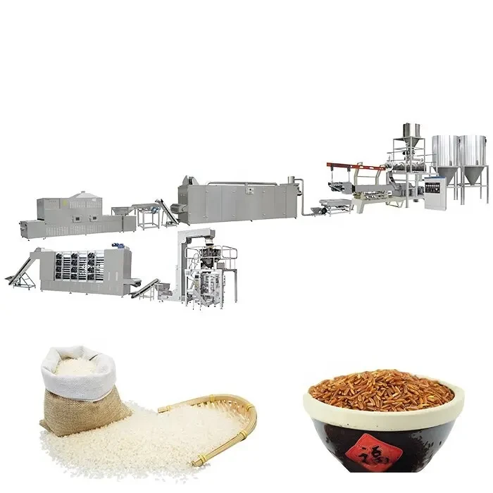 Ligne de transformation de riz artificiel à double vis